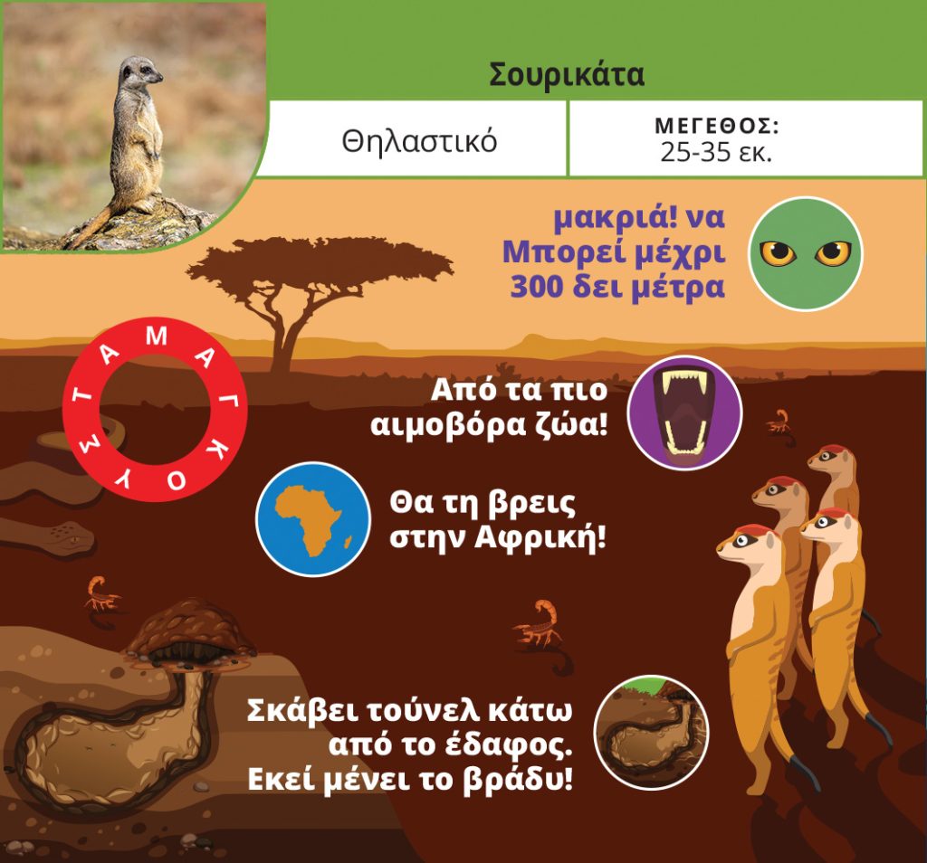 Ξεφτέρια: Ζώα & Φυτά