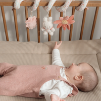 Σπιράλ δραστηριοτήτων miffy lucky blossom