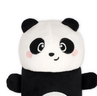 Κασετίνα super soft panda