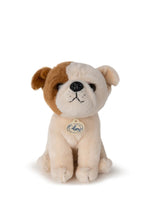 Λούτρινο Bulldog Bertha σε Giftbox