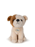 Λούτρινο Bulldog Bertha σε Giftbox