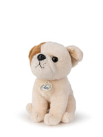 Λούτρινο Bulldog Bertha σε Giftbox