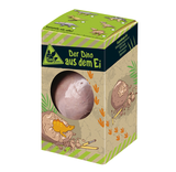 Ανασκαφή αυγού δεινοσαύρου