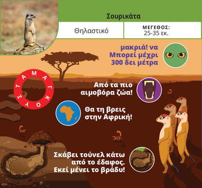 Ξεφτέρια: Ζώα & Φυτά